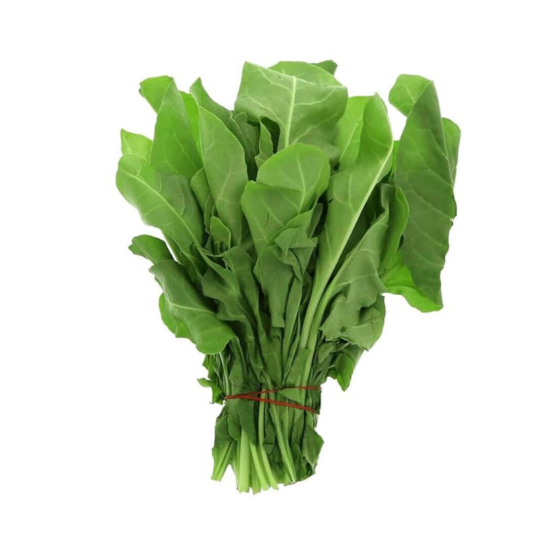 Spinach (Palak)