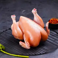 Fresh Chicken